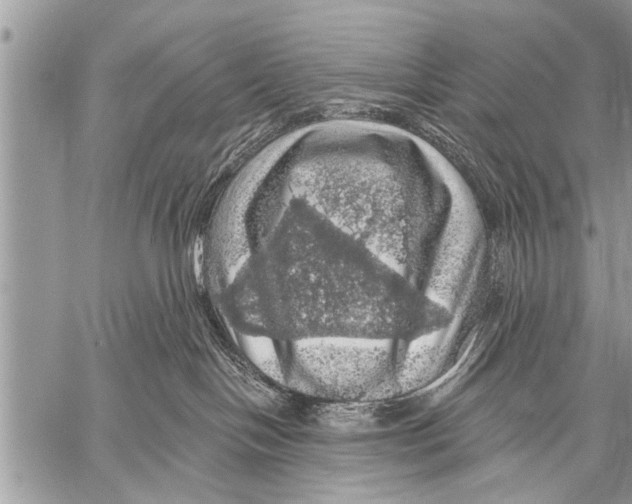X0000057570094200510171653