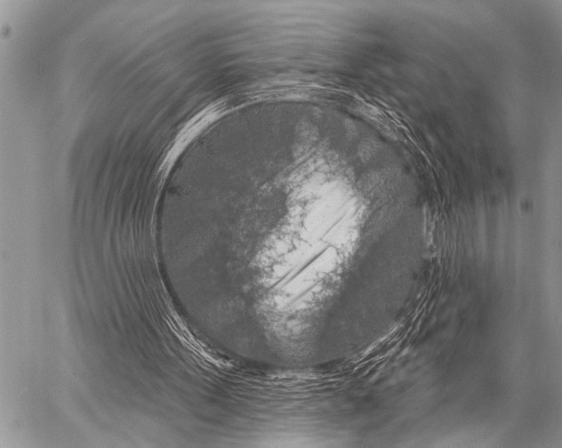 X0000057570099200510171653