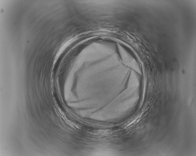 X0000057570102200510171653