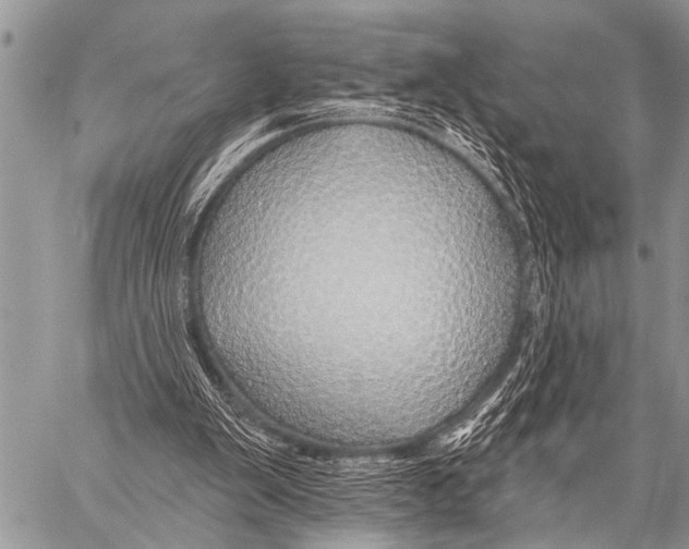 X0000057570103200510171652