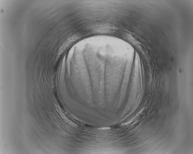 X0000057570106200510171652