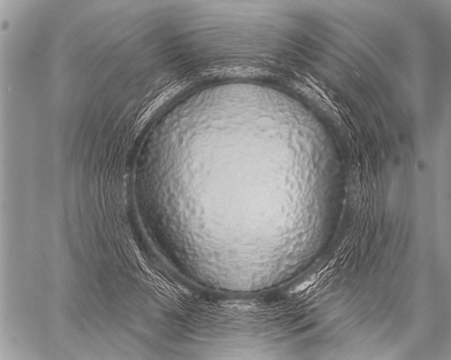 X0000057570111200510171652