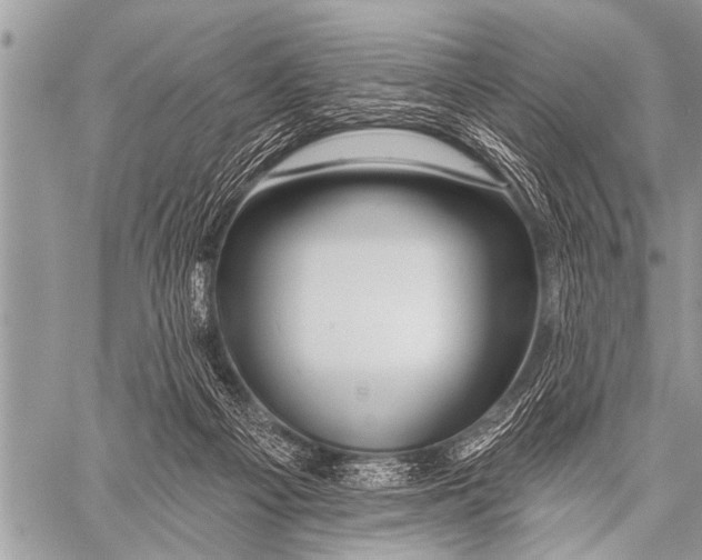 X0000057570121200510171652