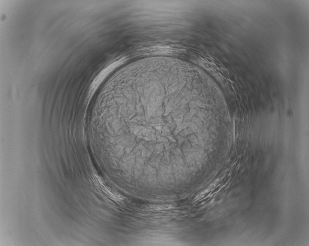 X0000057570147200510171651