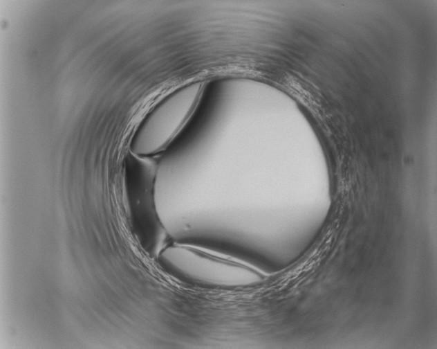 X0000057570193200510171651