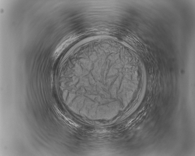 X0000057570194200510171651
