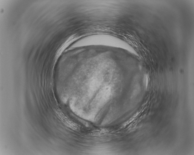X0000057570195200510171651