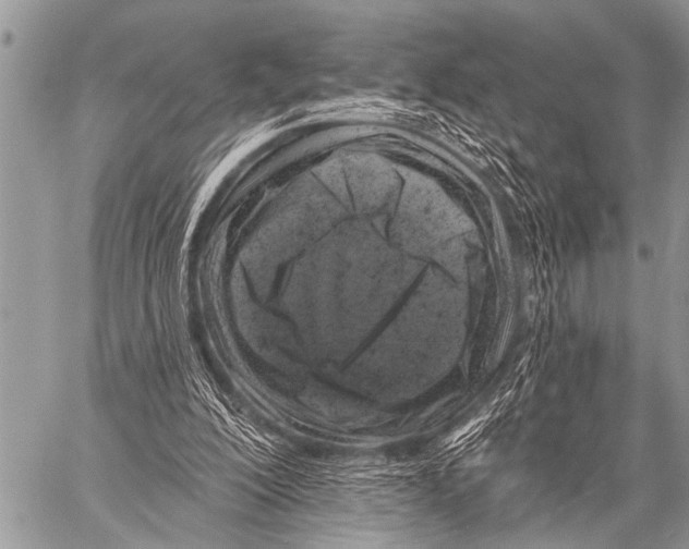X0000057570200200510171651