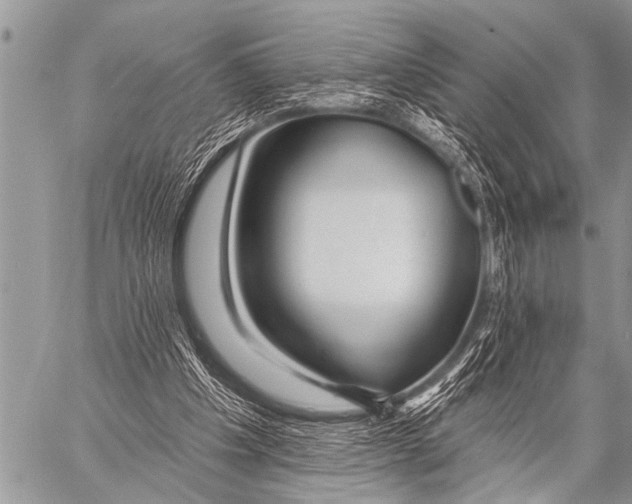 X0000057570201200510171651