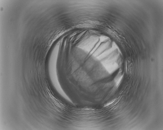 X0000057570204200510171651