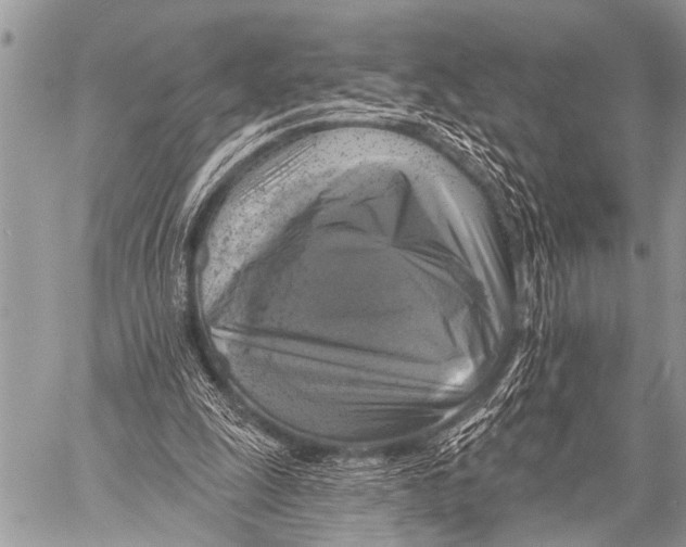 X0000057570247200510171650