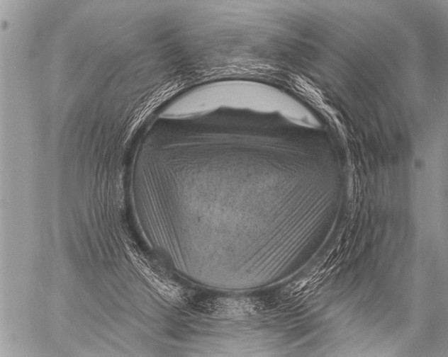 X0000057570250200510171650