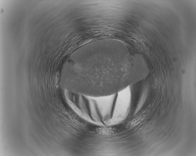 X0000057570273200510171650