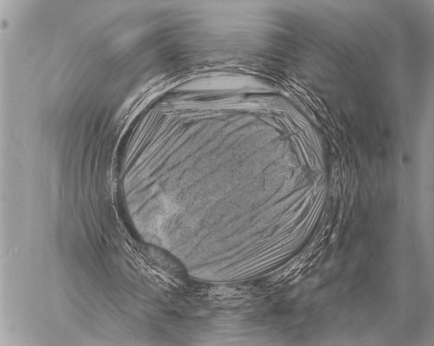 X0000057570290200510171649