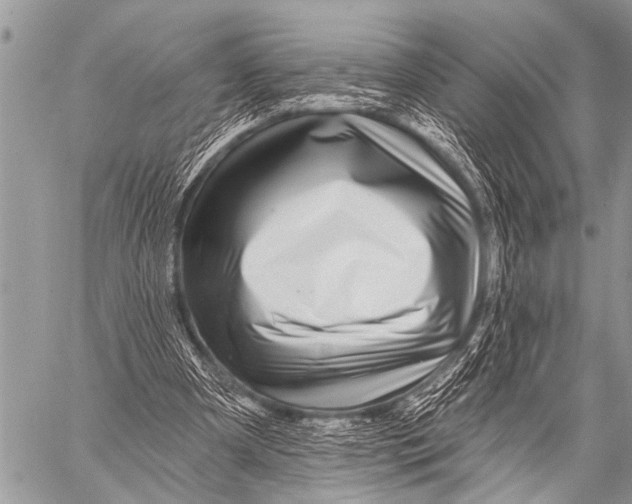 X0000057570297200510171649