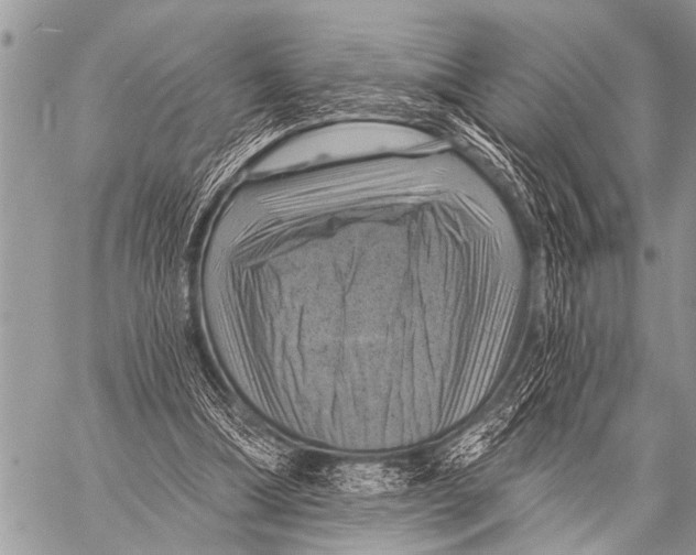 X0000057570298200510171649