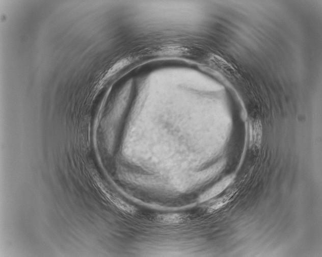 X0000057570301200510171649