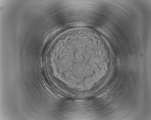 X0000057570302200510171649