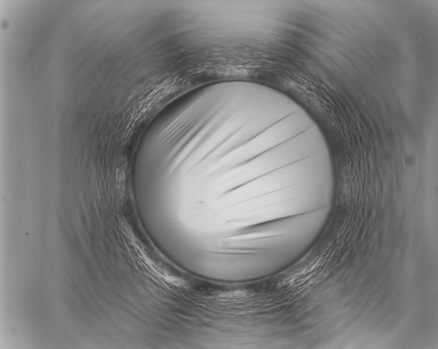 X0000057570309200510171649