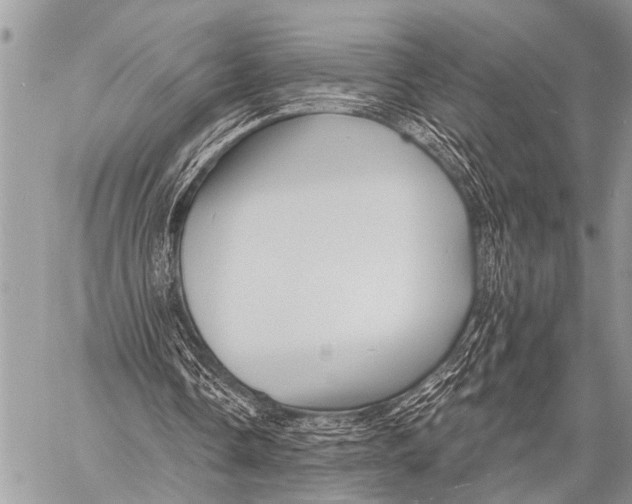X0000057570338200510171648