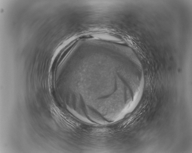 X0000057570342200510171648