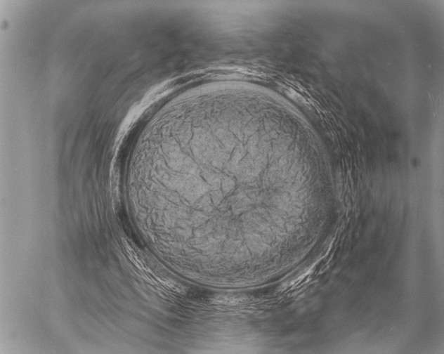 X0000057570343200510171648