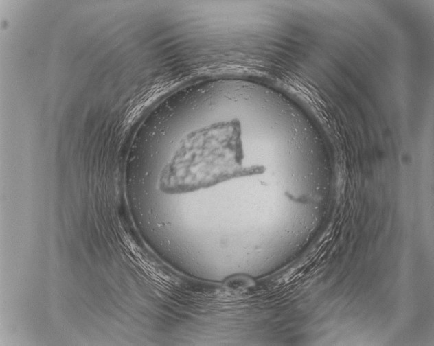 X0000057570345200510171648