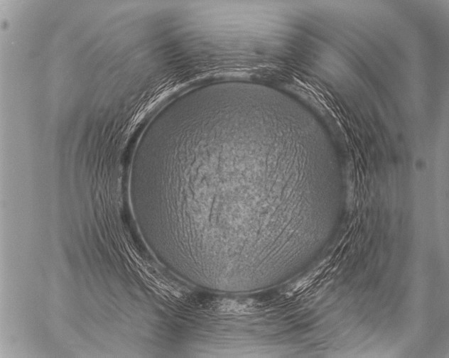 X0000057570346200510171648