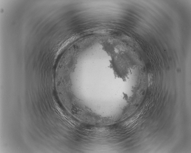 X0000057570349200510171648