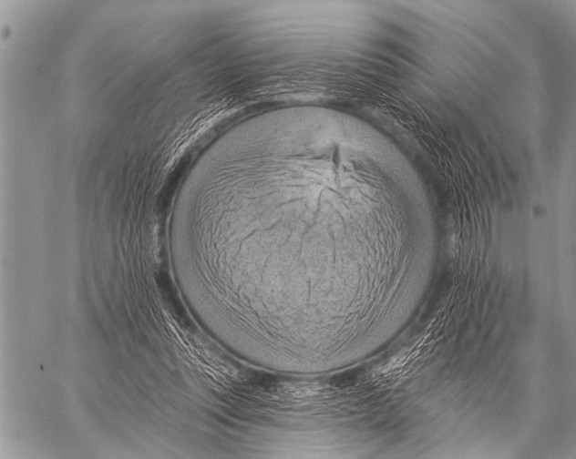 X0000057570351200510171648