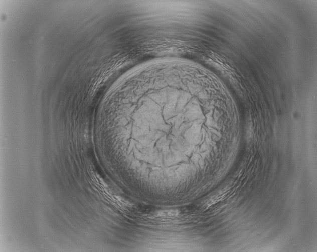 X0000057570353200510171648