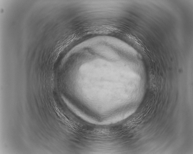 X0000057570354200510171648