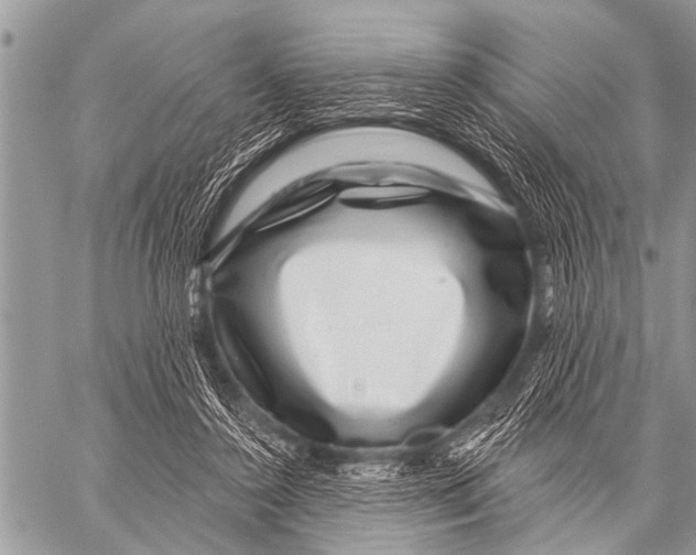 X0000057570356200510171648