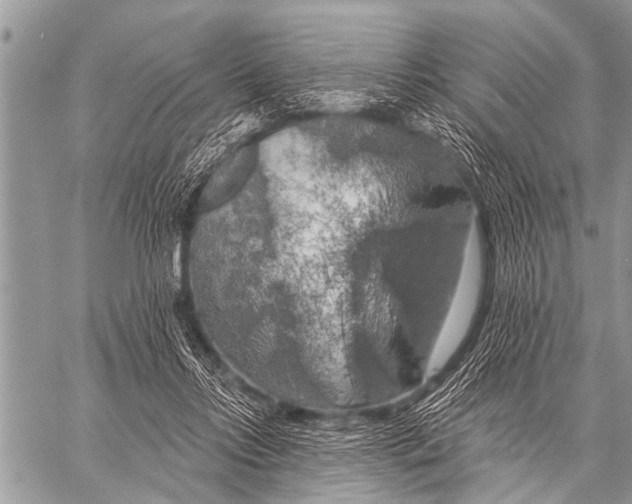 X0000057570358200510171648