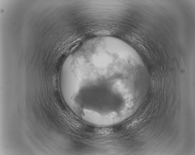 X0000057570359200510171648