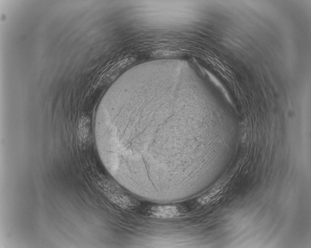 X0000057570361200510171648