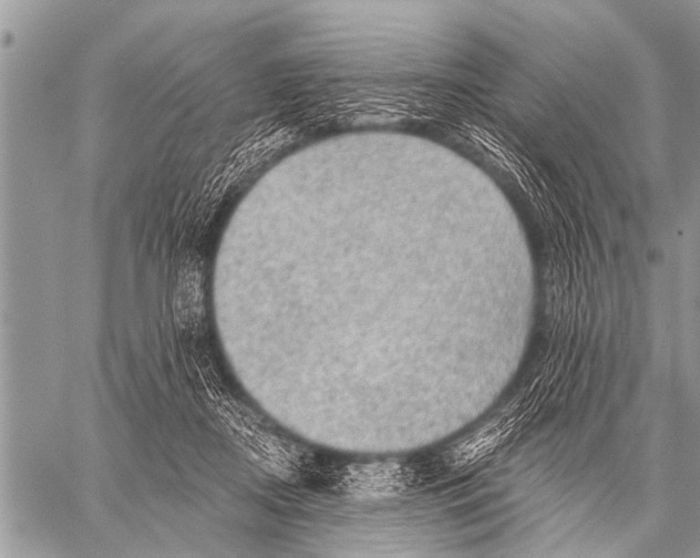 X0000057570362200510171648