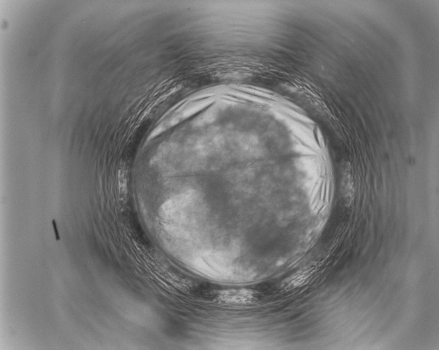 X0000057570363200510171648