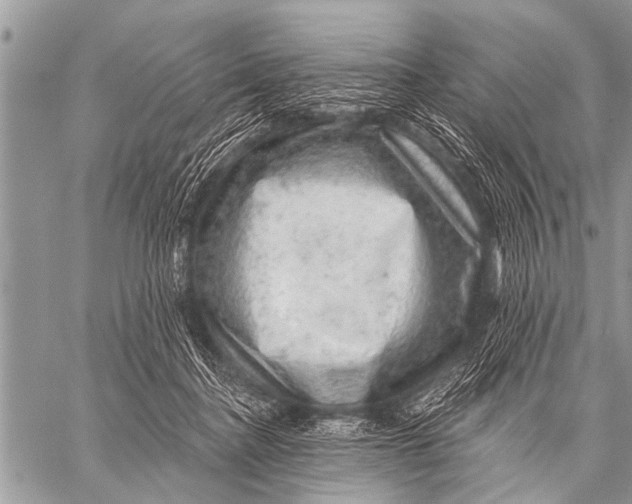 X0000057570364200510171648