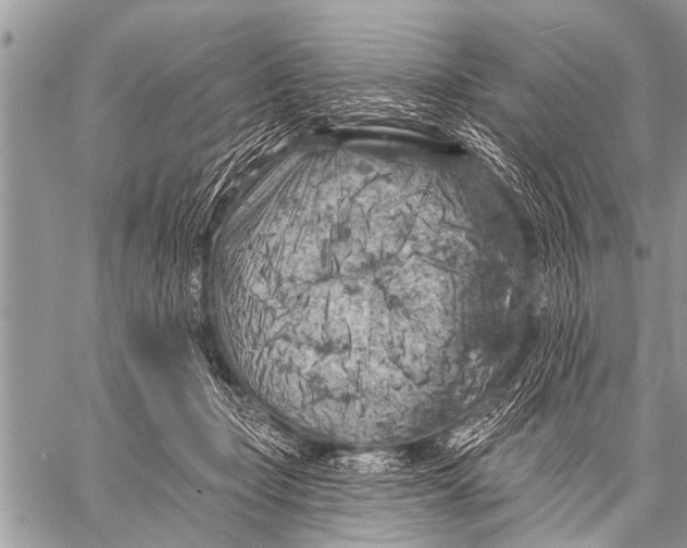 X0000057570365200510171648