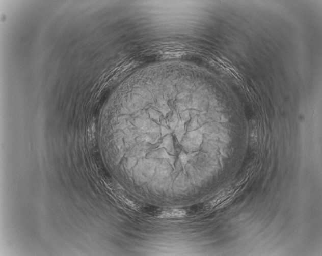 X0000057570369200510171648