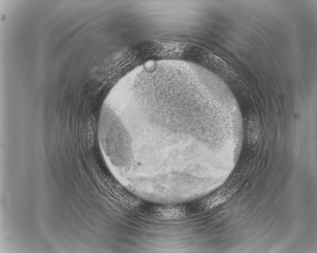 X0000057570370200510171648