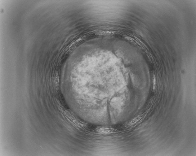 X0000057570372200510171648