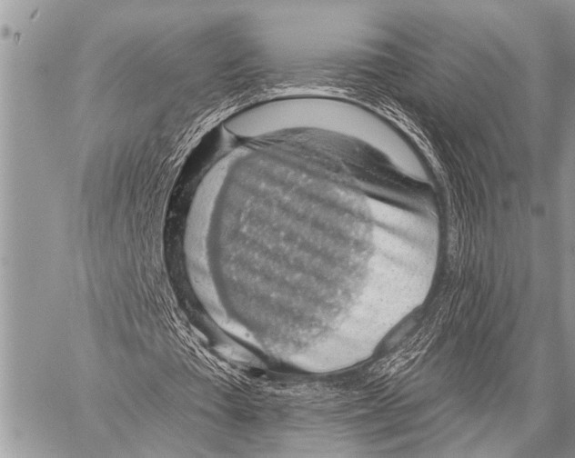 X0000057570385200510171648