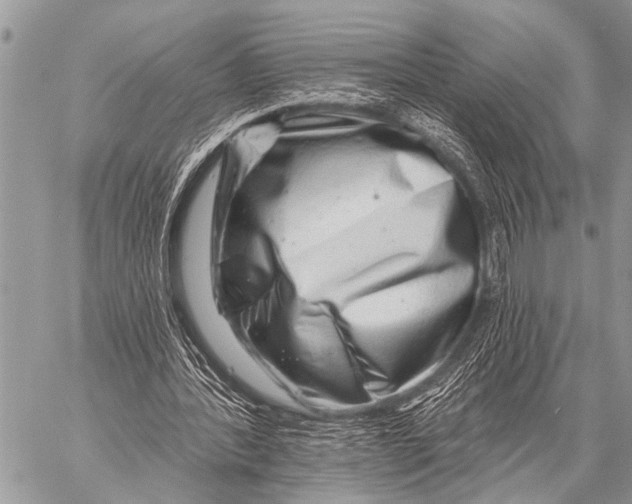 X0000057570388200510171648