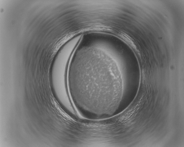 X0000057570389200510171648