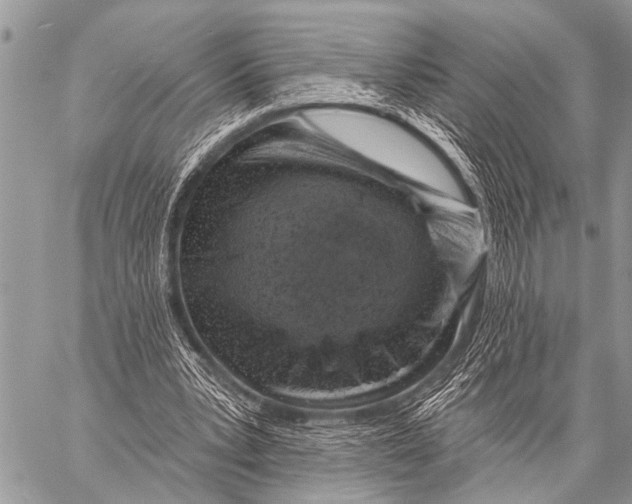 X0000057570391200510171648