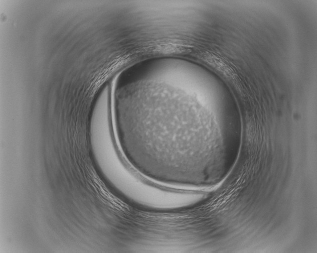 X0000057570393200510171648