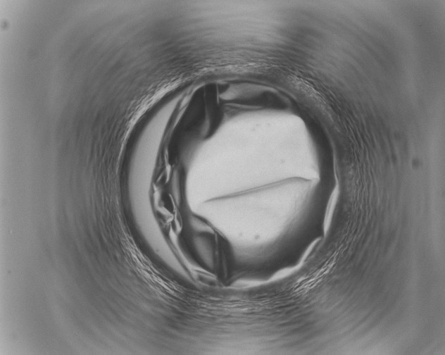 X0000057570395200510171648