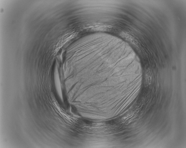 X0000057570398200510171648